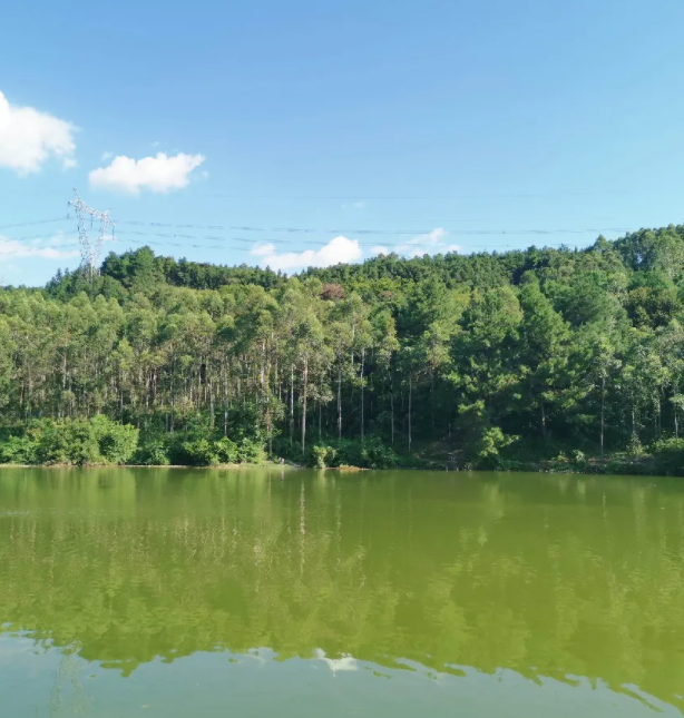 607bd3765e462.png 8.png